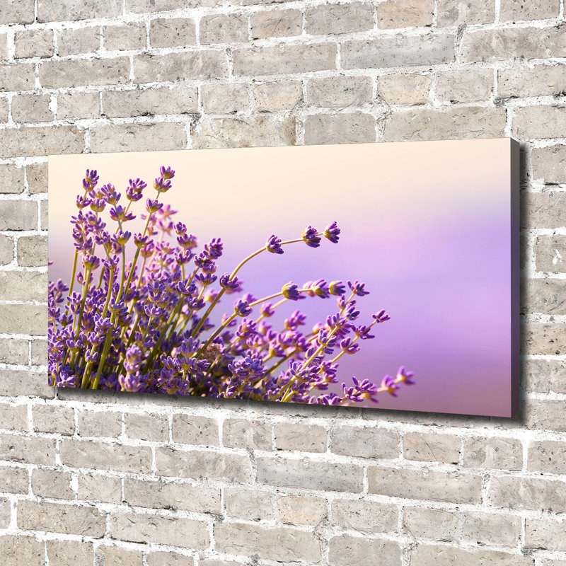 Lavender - No Frame Print, Canvas, 70cm H x 140cm W x 2cm D