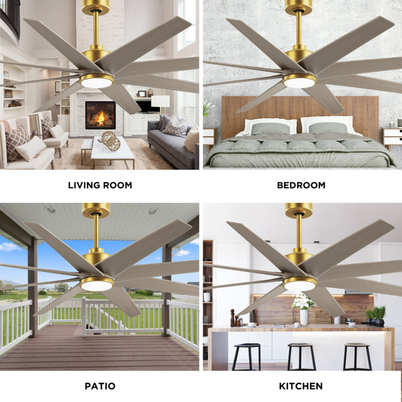 Ariella - Eight Blade Ceiling Fan - Integrated LED - Matte Black Finish - Matte White Blades, Brushed Brass, Gray Ash Tone