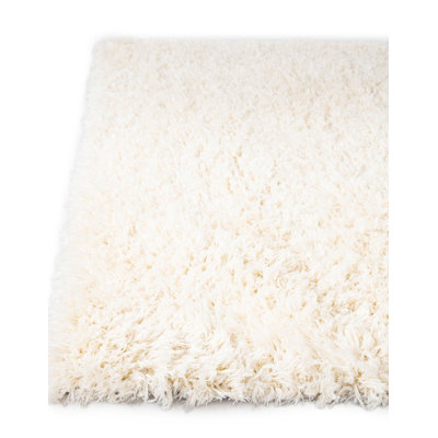 Indoor Rug