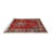 Pitkin Oriental Indoor Rug-1633454959