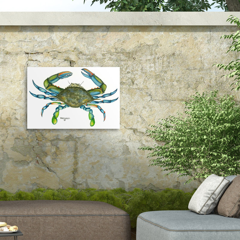 Toile d'extérieur crabe bleu Dave Bartholet, H 12 po x l 19 po