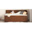 Lit de jour avec tiroirs et tablettes, gris-307784736-307784742