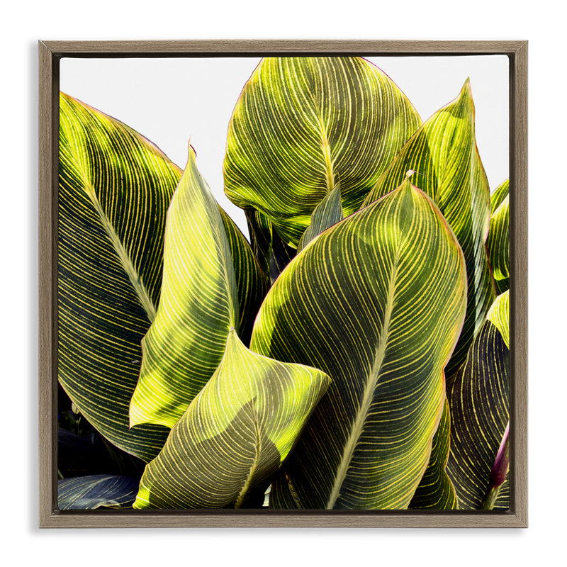 «Bright Bright Tropical Leaves» par Emily Navas, Cadre flottant orme Montalcino, H 18 po x l 18 po