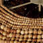 Clamshell 4 - Light Chandelier-905482397