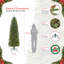 Sapin de Noël vert élancé-265182609