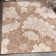 Kamarni Floral Brown/Beige Indoor&Outdoor Area Rug