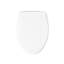 Carbyne Quiet-Close Elongated Toilet Seat