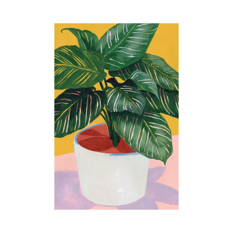 Calethea I by Grace Popp - Gallery-Wrapped Canvas Giclée on Canvas, No Frame, 20.32 cm H x 30.48 cm W