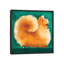 «Pom» par Terry Runyan, impression sur toile tendue sur châssis-72407435-72407436-72407443