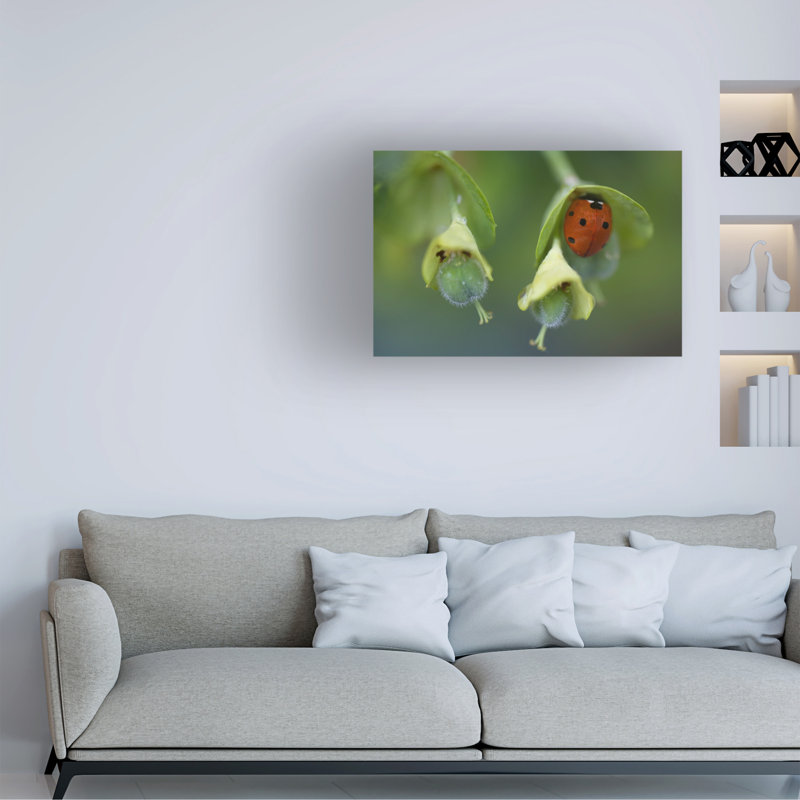 Lone Ladybug par Susan Vizvary - Photographie sur toile tendue, H 12 po x l 19 po