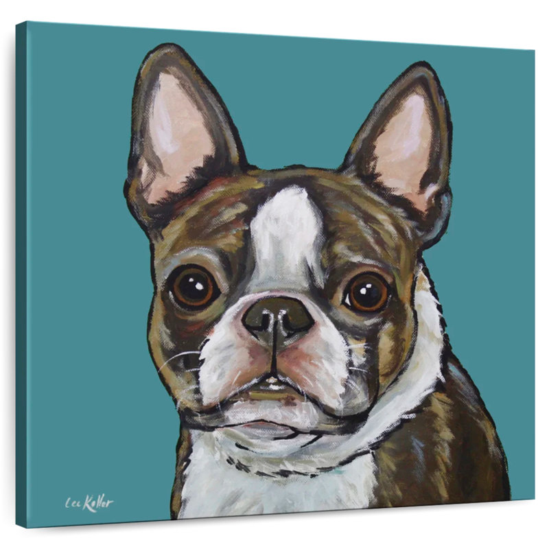 Crowle Sasha Boston Terrier sur sarcelle