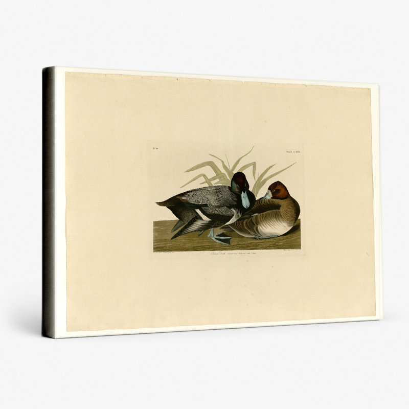 Art mural sur toile oiseaux