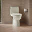 Toilette allongée écoénergétique Reach ™ 1,28 GPF-107149311