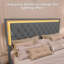 Upholstered Bed Frame with LED Lights-1430240596-1430240598