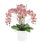 Orchids Arranged in Fiberstone Planter
