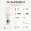 Ampoules DEL Euri Lighting A19, 9 W, 810 lm, équivalent 60 W, 5 000 K, culot E26, homologuées CEC et UL, ensemble de 2