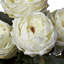 Pièce maîtresse à roses fantaisie en vase-1626148129