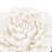 Handmade Ceramic Flower Wall Decoration In Cream - Appealing For Accent Distinctive-974666302