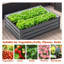 Boîte pour jardin d'extérieur galvanisée 4 pi x 3 pi x 1 pi pour légumes, fleurs et herbes