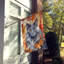 Chat en feuilles d'automne-112700488
