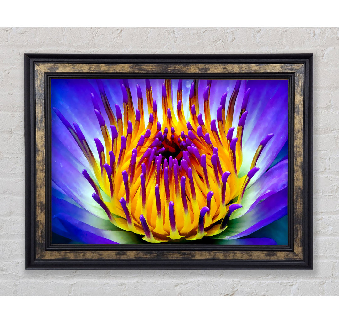 Gerahmtes Leinwandbild Vibrant Purple Water Lily