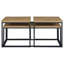 Rosey Mango 3-piece Coffee Table Set