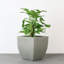 Jardinière écologique d'intérieur / extérieur Vinesha ECOBO-1203563274-1203563269-1197920228