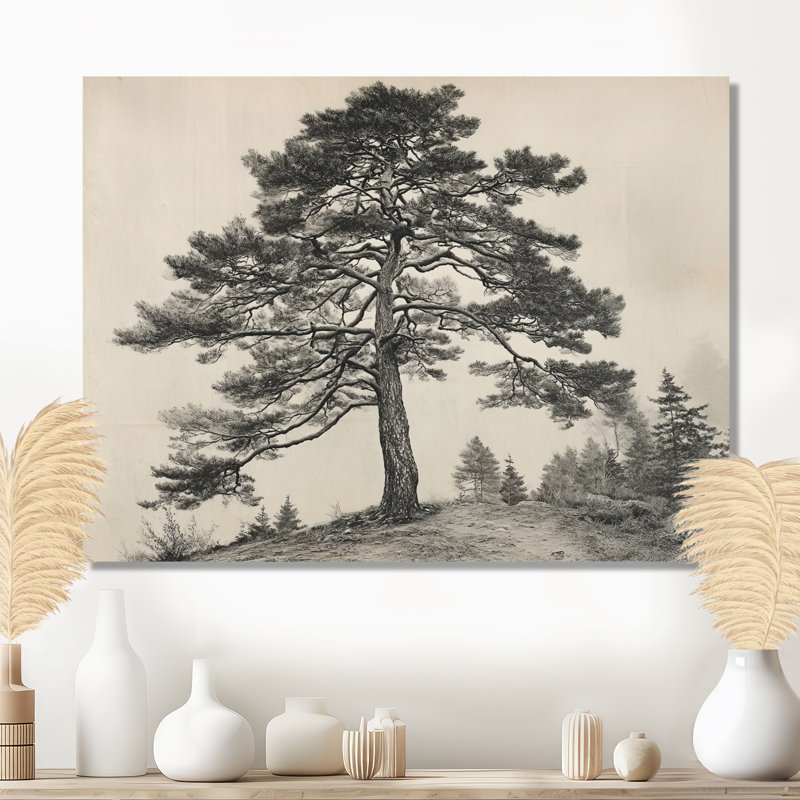 Reproduction d'art sur toile, pin, H 30 po x l 40 po, Toile tendue, Ne s’applique pas