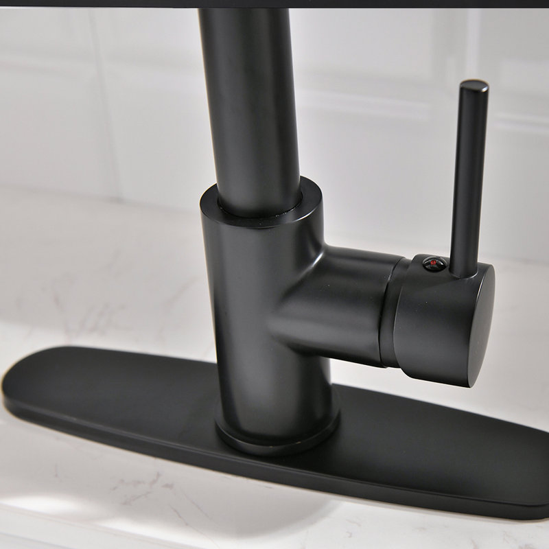 Purifier Kitchen Faucet Drinking Water Faucet With Ying Rack, Pull Down Water Filter Kitchen Sink Faucets (Matte Black)