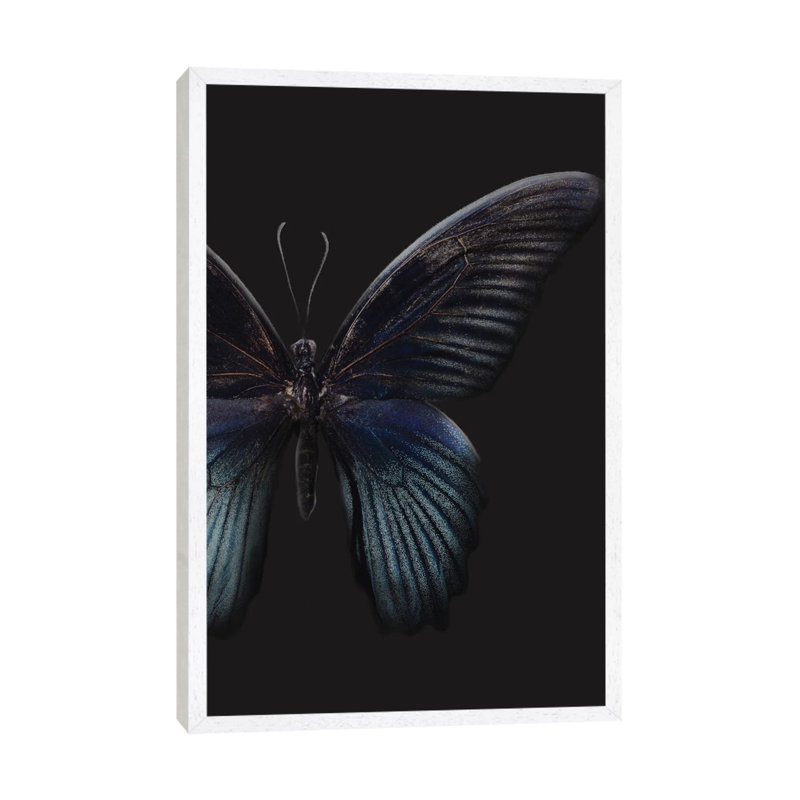 Black Butterfly On Grey - Painting on Canvas, White Framed, 66.04cm H x 45.72cm W x 3.81cm D