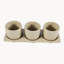 3 - Piece Pot Planter Set with Tray-98951308