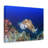 Hunting Cuttlefish on a Coral Reef Print Animal Wall Art-265358503