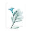 "Aqua Mandelilla", toile tendue par Albert Koetsier-933806093