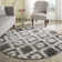 Bethlyn Ikat Ivory/Charcoal Area Rug