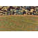 Newt Washable Abstract Indoor / Outdoor Rug