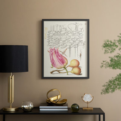 Reproduction encadrée de Hoefnagel, «Tropical Specples III» - bois massif