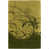 Vert/Jaune/Brun clair