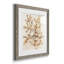 Parchment Coral I - ensemble de 4 reproductions de cadres photo-2014908190-2014908185