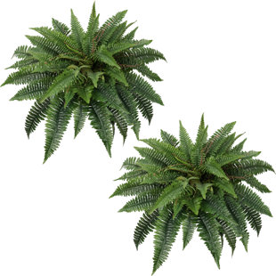 Fake Boston Ferns,Artificial Fern for Home, Office, Garden Indoor Outdoor Decors(Set of 2) (Set of 2)