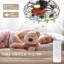 Ellyne Ceiling Fan with Light Kit