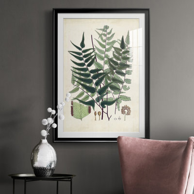 Collection Ferns VII - reproduction de cadre photo