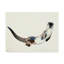 «Curious Otter» par Tellico, reproduction d'art sur toile tendue-27647146