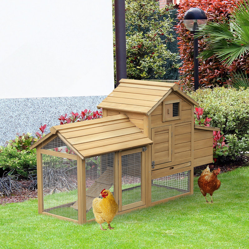 Poulailler en bois polyvalent pour l'extérieur, assurant le bien-être et le confort de la poule, Naturel