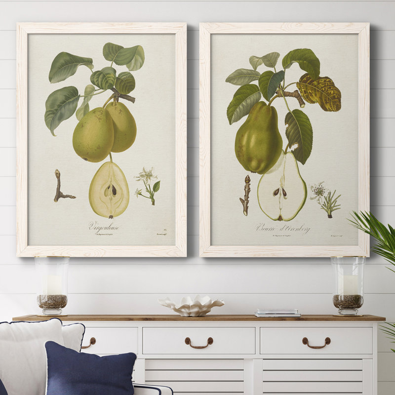 Toile encadrée de qualité supérieure Vintage Pears III - prête à être accrochée, H 20 po x l 34 po x P 1,5 po
