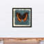Tourbillons et papillon-1946654989