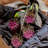 Thistle Arrangement-1752061244
