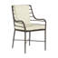 Carmel Patio Dining Armchair with Cushions-62380061-63361278