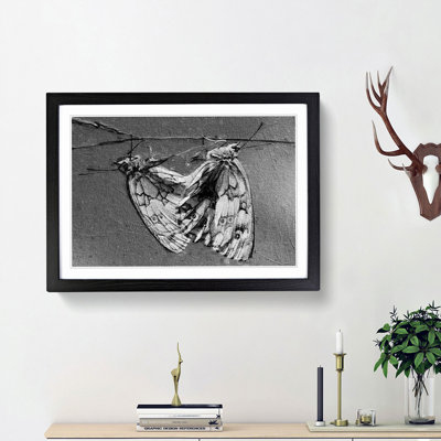 Two Butterflies - Framed Print