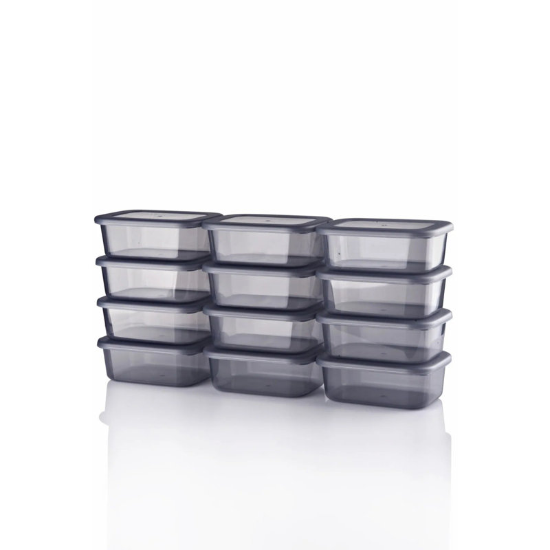 Ensemble de boîtes de rangement en plastique anthracite durable Elyssa (12 pièces), 3,5 x 4,9 x 1,8 pouces | Capacité de 8,5 oz liq. Va au lave-vaisselle, idéal pour organiser la maison et le bureau | Solution de rangement compacte et polyvalente