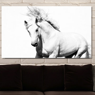 « cheval running », reproduction de photo sur toile tendue